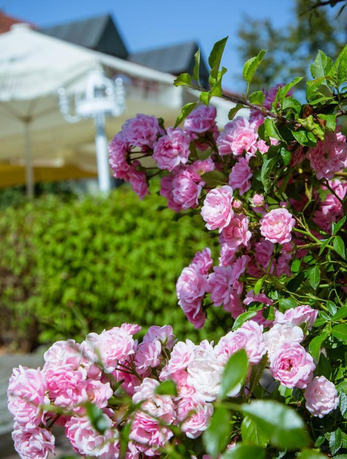 Landhotel Schneider Riedenburg Luaran gambar